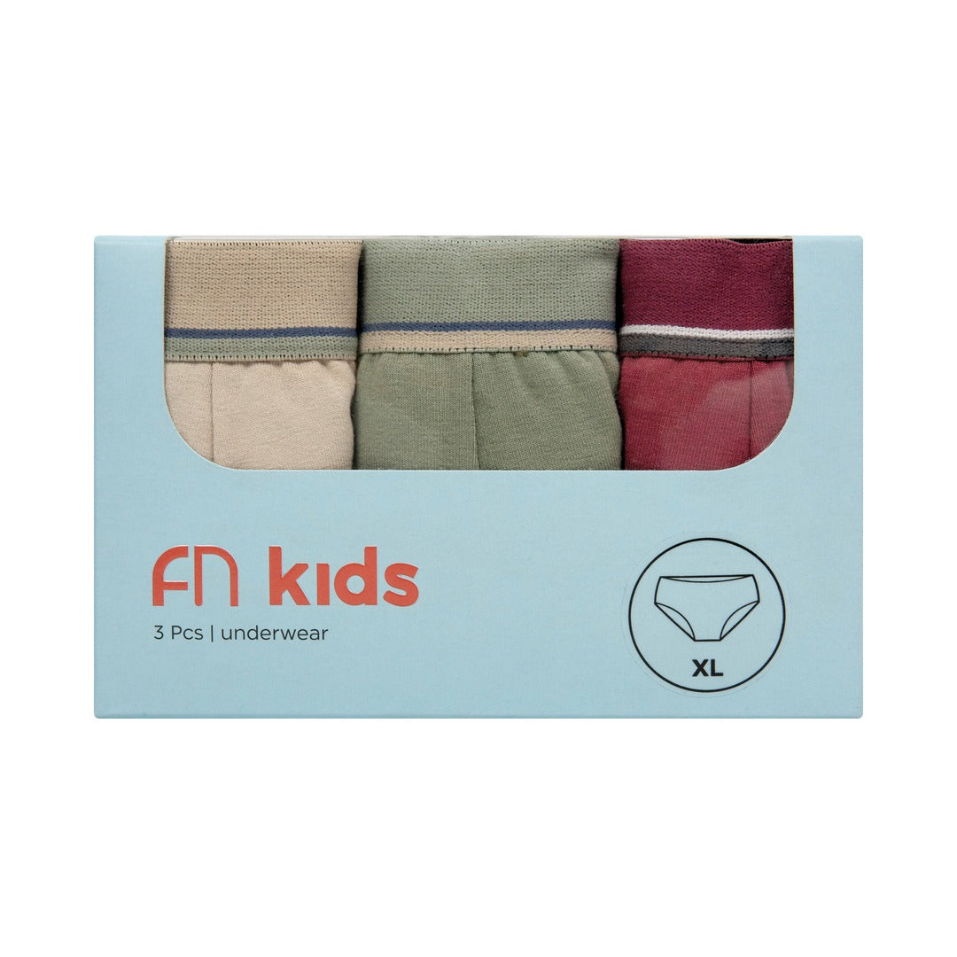 FN Kids Celana Dalam Brief Anak Laki-Laki 3 pcs FKC 3382