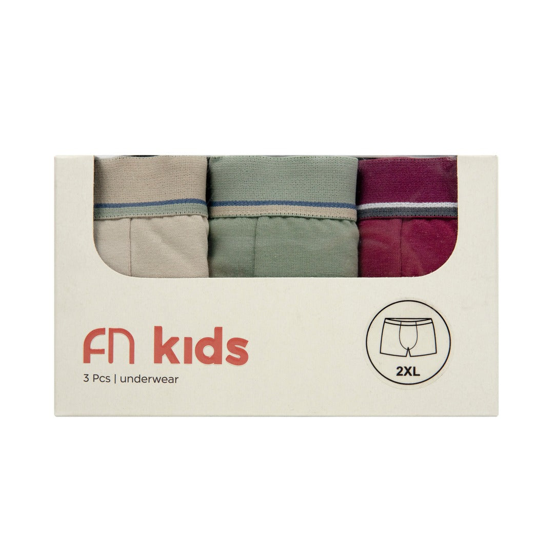 FN Kids Celana Dalam Boxer Anak Laki-Laki 3 pcs FKC 3380